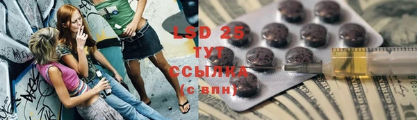 СК Козельск