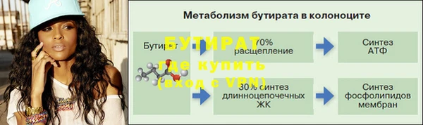 гашик Корсаков