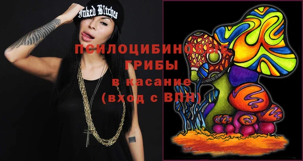 гидропоника Кодинск