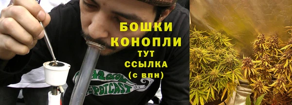 СК Козельск