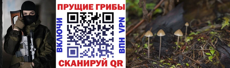 Галлюциногенные грибы Magic Shrooms Купить закладки Златоуст
