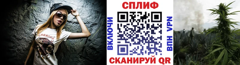 Бошки Шишки планчик  Купить где  Златоуст 